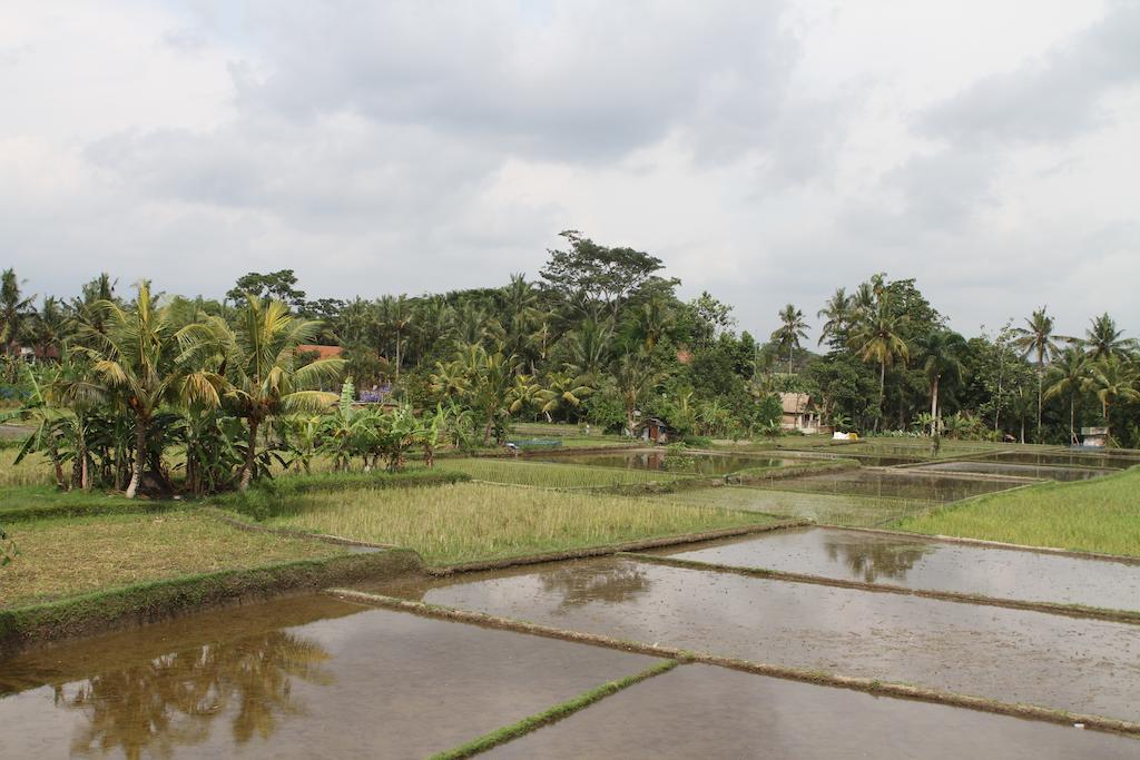Villa Kami Ubud Екстер'єр фото