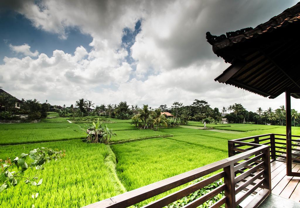Villa Kami Ubud Екстер'єр фото